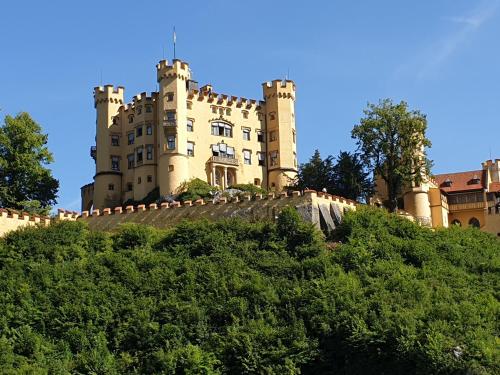 a castle on top of a hill with trees at Chalet Panorama Tirol in Hofen