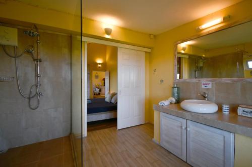 a bathroom with a sink and a shower and a mirror at Fenetre sur Mer in Rodrigues Island