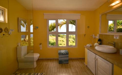 a bathroom with a toilet and a sink and two windows at Fenetre sur Mer in Rodrigues Island