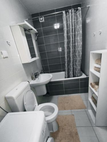 uma casa de banho com um WC, um lavatório e um chuveiro em Nota Home em Novi Sad