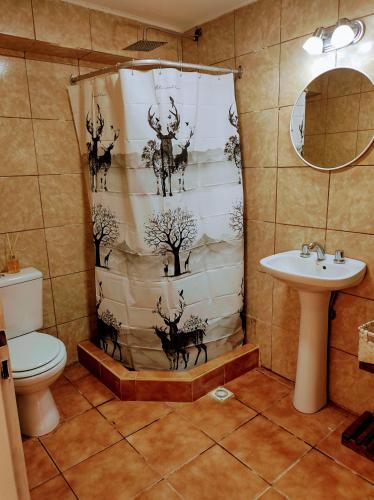a bathroom with a shower curtain with a toilet and a sink at Centro RG in Río Gallegos