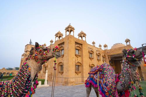 Huéspedes de Chokhi Dhani The Palace Hotel