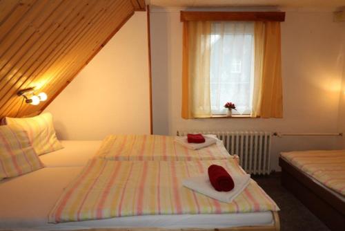 a hotel room with two beds and a window at Hotel-Penzion Johanka in Háj