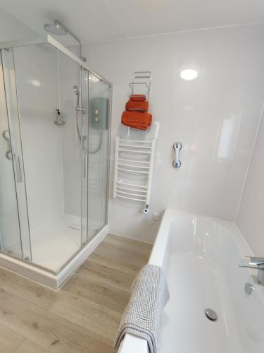 a bathroom with a shower and a bath tub at Owl's Watch in Ruthin