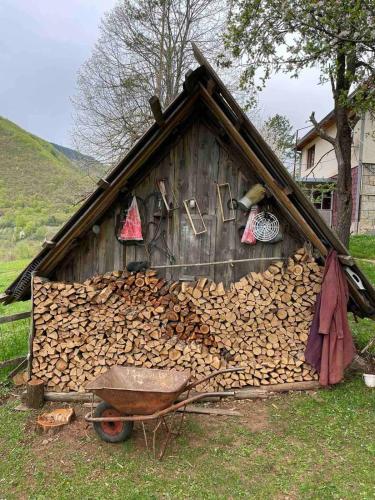 a pile of fire wood in front of a house at Family owned self sufficient ECO farm TARA in Pljevlja