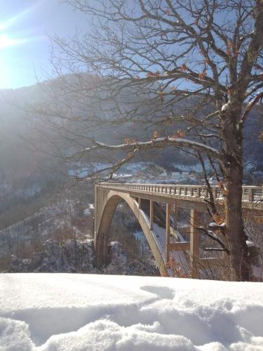 a bridge in the snow with a tree next to it at Family owned self sufficient ECO farm TARA in Pljevlja