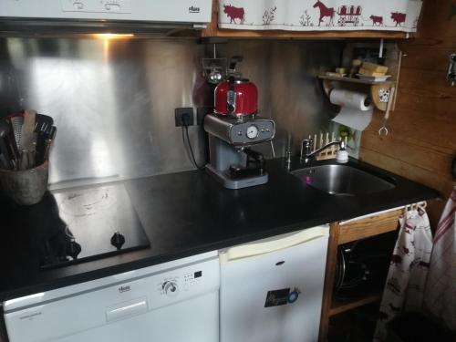 a kitchen with a sink and a mixer on a counter at Avoriaz cocooning in Avoriaz
