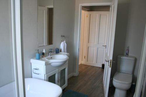 a bathroom with a white sink and a toilet at Botany House, in the heart of Hermanus in Hermanus