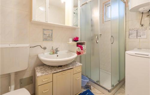 バーバリガにあるStunning Apartment In Barbariga With Wifiのバスルーム(洗面台、トイレ、シャワー付)
