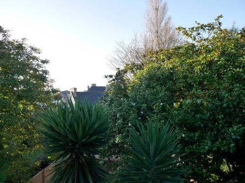 um grupo de árvores e plantas num quintal em CLINT HOUSE - Appartement "l'Île aux Moines" em Perros-Guirec