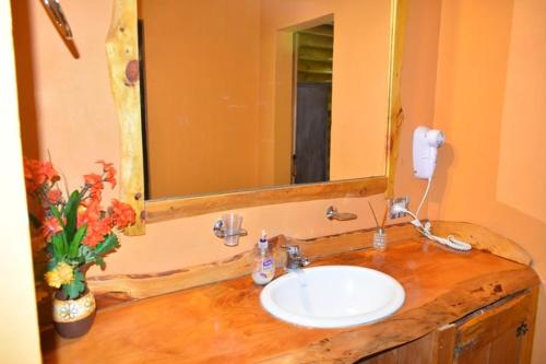 a bathroom with a white sink and a mirror at Cabañas Cuncumen in Tandil