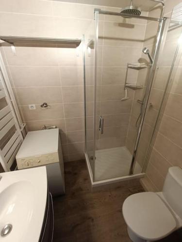 une salle de bain avec une douche, des toilettes et un lavabo dans l'établissement STUDIO 2 PERS PLEIN CENTRE VAL CLARET, à Tignes