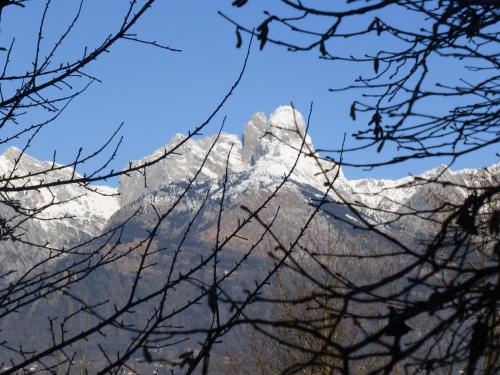 a snow covered mountain seen through the branches of trees at B&B Panorama Dolomiti in Mel