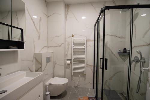 a bathroom with a shower and a toilet and a sink at Apartman Mango & Mia in Trebinje