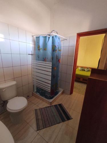 a bathroom with a toilet and a shower with a shower curtain at Hostal Sonchek in San Pedro de Atacama