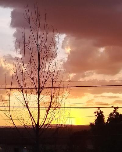 LA CASA Nostra – Photos 5