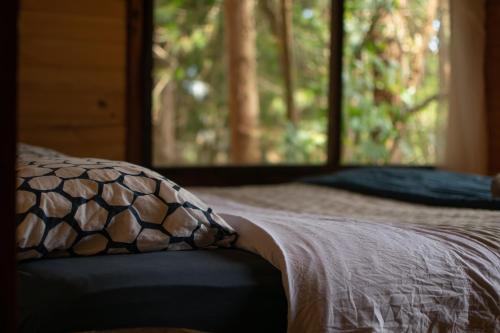 Gallery image of Casa Atipika in Curanipe