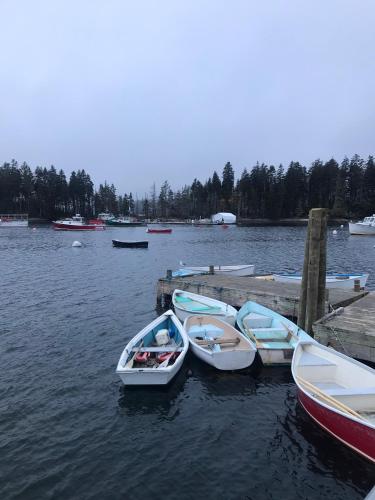 Schoodic Santuary – Photos 3