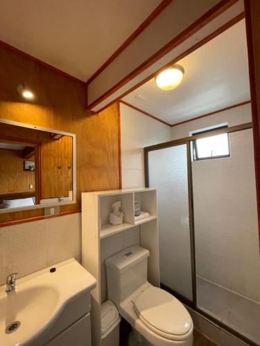 a bathroom with a toilet and a sink at Entre Montañas in Hornopiren