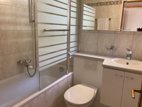 La salle de bains est pourvue de toilettes, d'une douche et d'un lavabo. dans l'établissement Haus Tgamotsch***- Ferienwohnung in Valbella, à Valbella