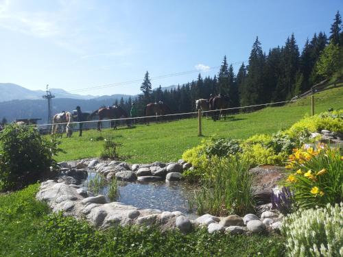 a creek in a field with horses in the background at Berghaus Koglmoos in Auffach
