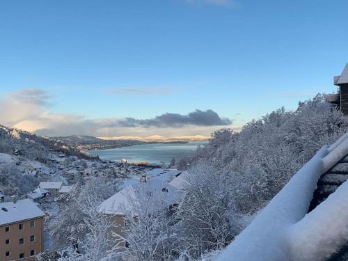 a city covered in snow with a river in the background at Cosy house with sunny terrace, garden and fjord view in Bergen