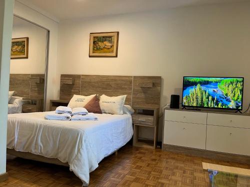 um quarto com uma cama e uma televisão de ecrã plano em palermo frente al Zoo em Buenos Aires
