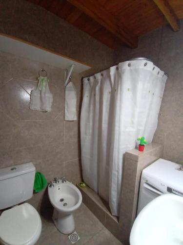 a bathroom with a toilet and a shower curtain at Resiliencia in Río Gallegos