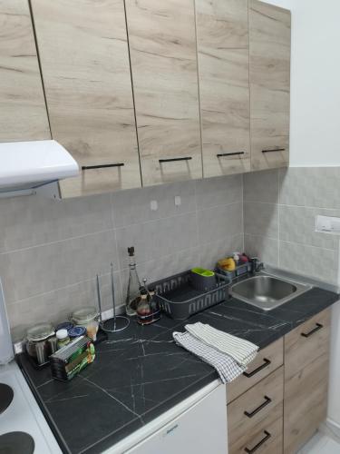 Imagen de la galería de Apartman Anastasija Divcibare, en Divčibare
