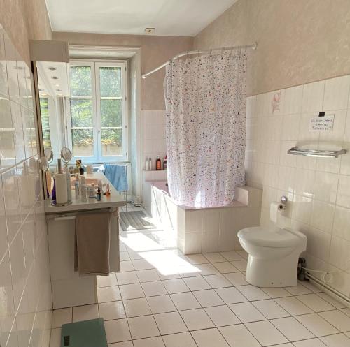 bagno con servizi igienici, lavandino e finestra di Grande maison bourgeoise a Malleval