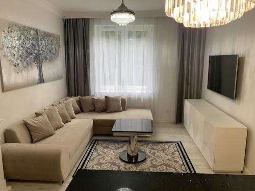 salon z kanapą i telewizorem w obiekcie Jurata Apartament Glamour w Juracie
