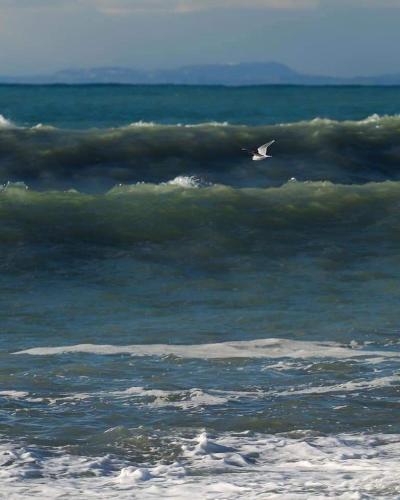 Gallery image of Wave-ტალღა in K'obulet'i