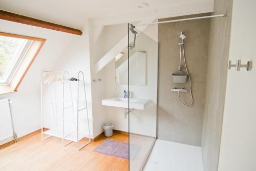 uma casa de banho com uma cabina de duche em vidro e um lavatório. em Vakantiewoning L'Eau Tendre in Ellezelles, met wellness, buitenzwembad en paardenstalling em Ellezelles