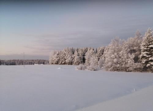 a snow covered field with trees in the background at Arctic Circle Home in Rovaniemi