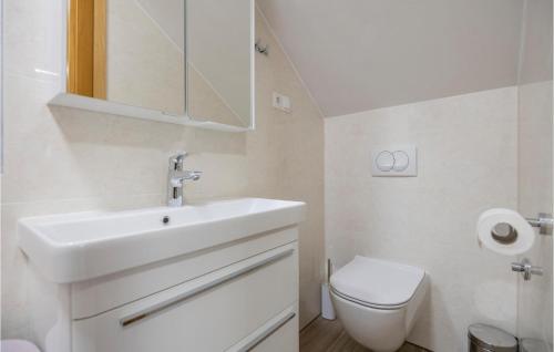 a white bathroom with a sink and a toilet at Cozy Home In Gornji Vinjani With Wifi in Gornji Vinjani