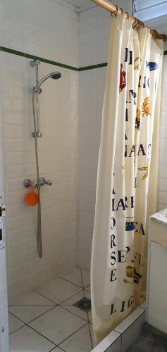 y baño con ducha y cortina de ducha. en Domaine de Valcine, en Sainte-Rose