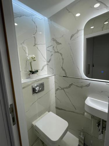 a bathroom with a toilet and a sink and a mirror at Lovely new apartment by the Parliament in Budapest