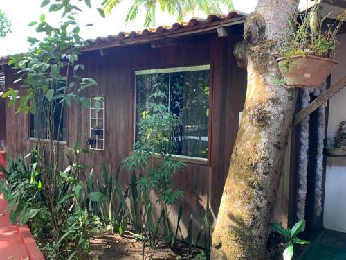 a wooden cabin with a door next to a tree at Cabana do Tapajós in Alter do Chao