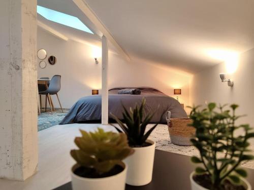 a bedroom with a bed and two potted plants at Leopold Room 30m2 Hyper centre, Netflix & Wi-fi in Épinal