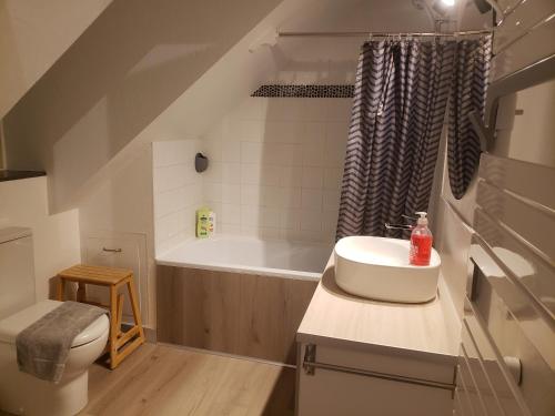 une salle de bain avec un lavabo et une baignoire dans l'établissement QUARTIER HISTORIQUE Studio tout confort, à Blois