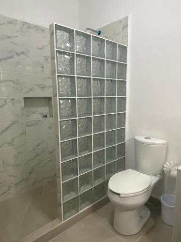 a bathroom with a toilet and a tiled wall at Hotel La Lejona in San Miguel de Allende