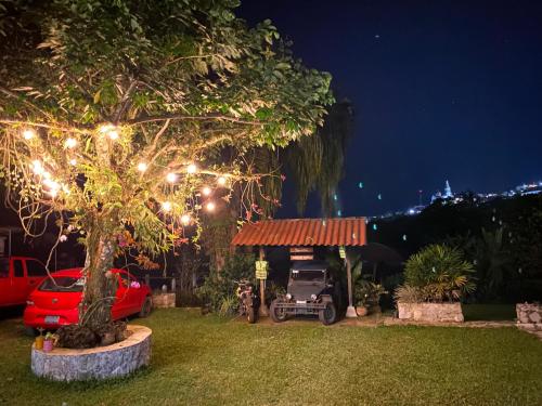 a tree with lights in a yard at night at Hotel Posada La Vereda in Cuetzalán del Progreso