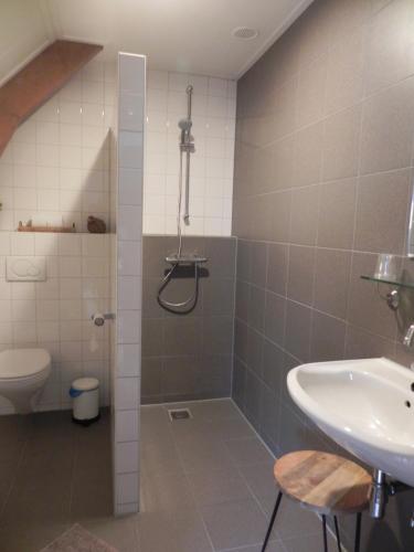 a bathroom with a shower and a sink and a toilet at Hoeve de Mertel in Biezenmortel