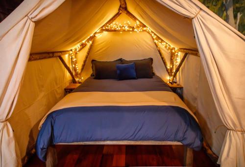 um quarto com uma cama numa tenda com luzes em The Front Porch Hidden Oasis em Arcata