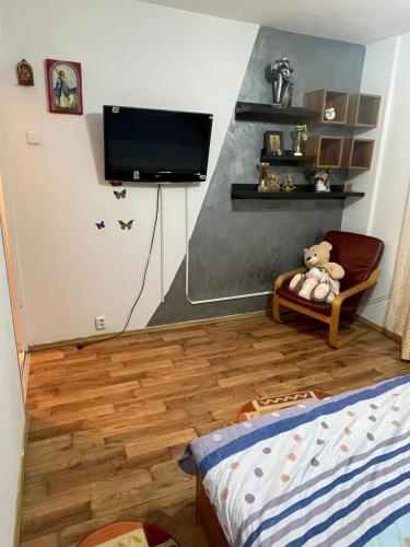 a bedroom with a bed and a tv on the wall at Sophia Lupeni Straja in Lupeni