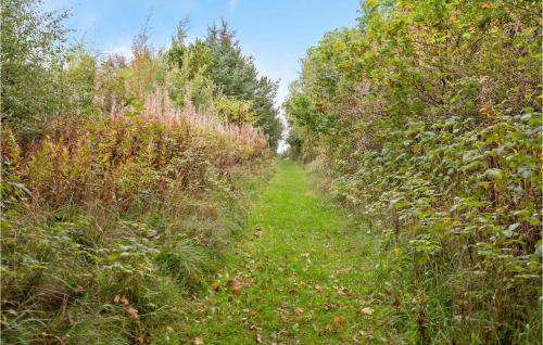 a path through a field of trees and grass at Cozy Home In Løgstør With Kitchen in Løgstør