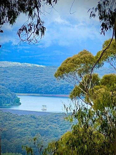 a view of a lake through the trees at Melbourne Topview Villa in Dandenong ranges near Skyhigh in Kalorama