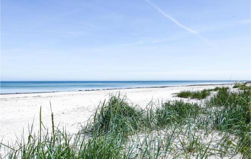 Neksøにある2 Bedroom Gorgeous Home In Nexøの草海を背景にした海岸