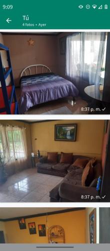 Eva's apartament