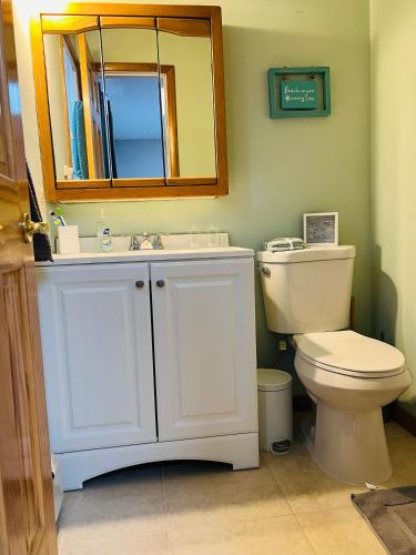 a bathroom with a toilet and a sink and a mirror at Shore house on Pelican Island! in Seaside Heights